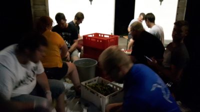 BirnenSchneiden2018 Zum Gelingen eines leckeren Maubichkuchens ist viel Arbeit im Vorfeld notwendig. Foto: JSG Lantershofen