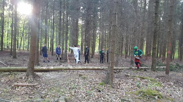 Maibaum2018 01 Auf dem Waldgrundstück von Otto Krämer wurde der Stamm mit Hilfe von Reinhold Harst geholt. Foto: Robin Grießel
