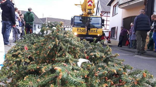Maibaum2018 02 Der Kran der Firma Floßdorf übernahm den sonst schweißtreibenden Part des Stellens. Foto: Johannes Schütz