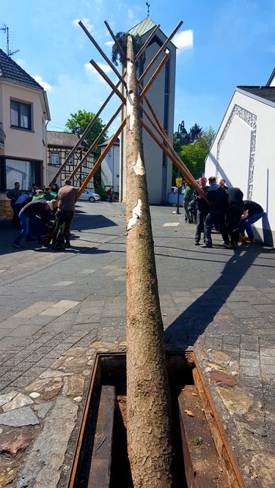 Maibaum 2019 Bilder einer vergangenen Tradition? Die Lantershofener Junggesellen beim Maibaumstellen mit Micken und Muskelkraft 2018. Foto: Robin Grießel